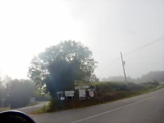 DSCN7661 DSCN7661
