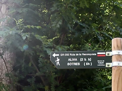 DSCN8113 DSCN8113