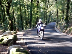 DSCN1639 DSCN1639