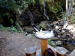 DSCN7892 DSCN7892
