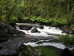 DSCN2804 DSCN2804