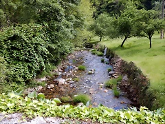 DSCN1586 DSCN1586