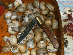 P3230054