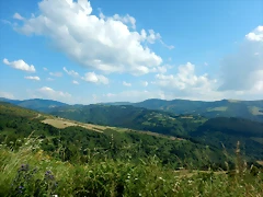 DSCN2380 DSCN2380
