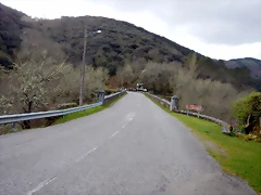 DSCN8956 DSCN8956