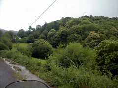 DSCN4782 DSCN4782