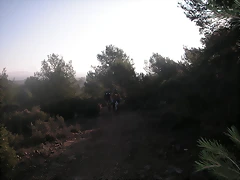 mtb olocau 001 mtb olocau 001