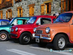 CAS_3895 CAS_3895