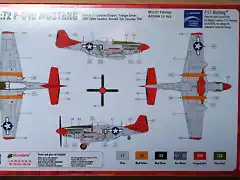 p51 (3)