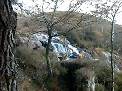 DSCN6692 DSCN6692