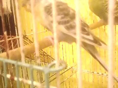 foto 2 foto 2