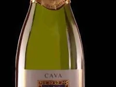Cava Reyes de Aragon