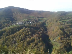 DSCN0466