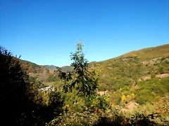 DSCN7801 DSCN7801