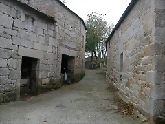DSCN8426 DSCN8426