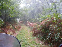 DSCN8419 DSCN8419