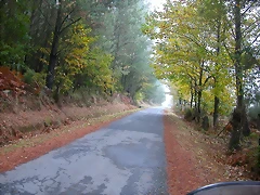 DSCN8422 DSCN8422