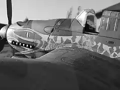 STUKA 1