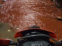 DSCF1976
