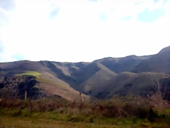 DSCN5328 DSCN5328