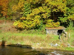 DSCN6092 DSCN6092