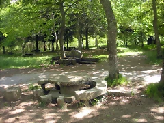 DSCN5311 DSCN5311
