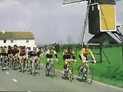 AMSTEL 1980