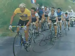 Laurent_Fignon TOUR 1984