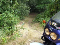 IMG_0400 IMG_0400