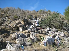 IMG_2488 IMG_2488