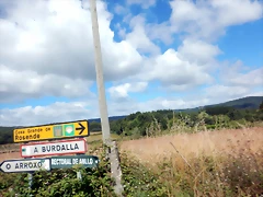DSCN7717 DSCN7717