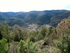 CIMG0696 CIMG0696