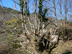 DSCN8028 DSCN8028