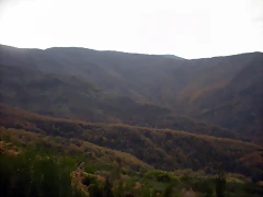 DSCN0623 DSCN0623