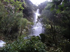 DSC00978 DSC00978