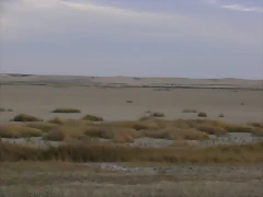 R0010771