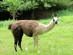 IMG_6687 IMG_6687