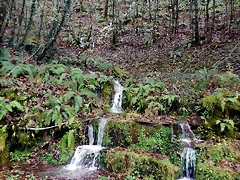 DSCN2859 DSCN2859
