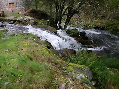 DSCN5766 DSCN5766