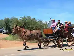 26, en coche de caballos, marca