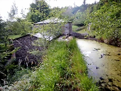 DSCN4547 DSCN4547