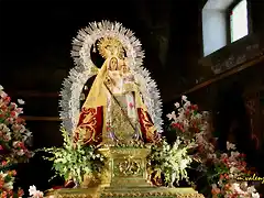 04, la virgen, marca