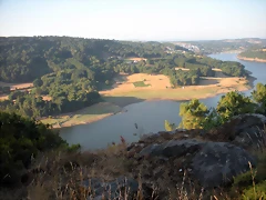 DSCN7216 DSCN7216