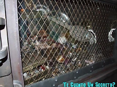 DSCF3175 DSCF3175