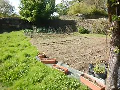 DSCN2046 DSCN2046