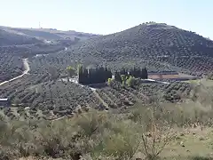 001, loma del pino