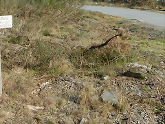 DSCN9030