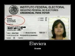 eluviera-credencial-ife-mexico