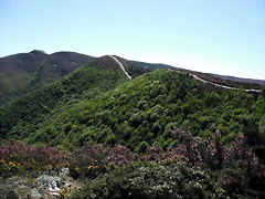 DSCF2506 DSCF2506