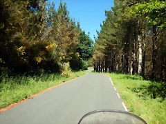 DSCN2320 DSCN2320